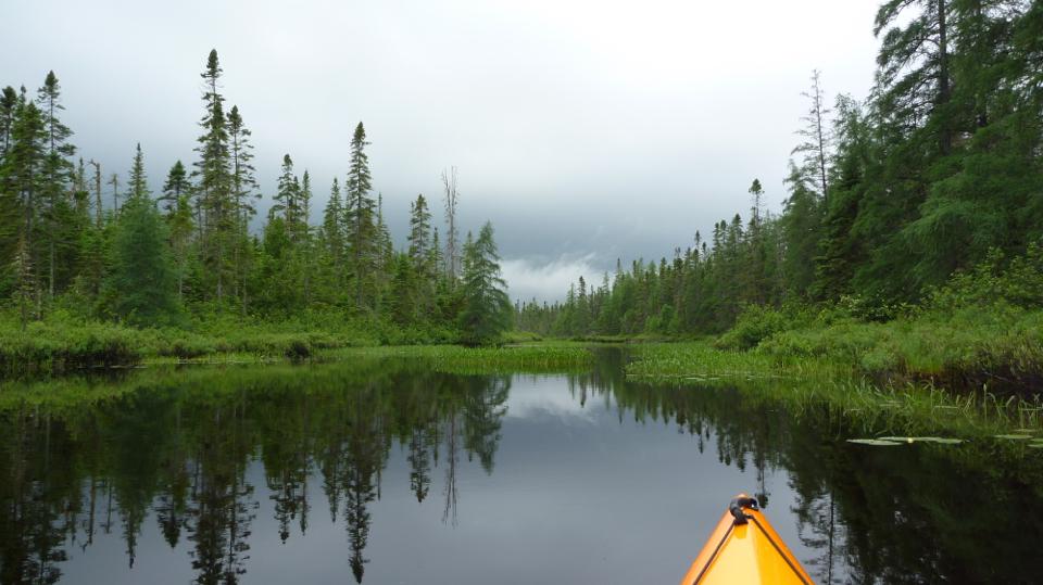 ADK Pic Of The Week: Susan Schmoyer