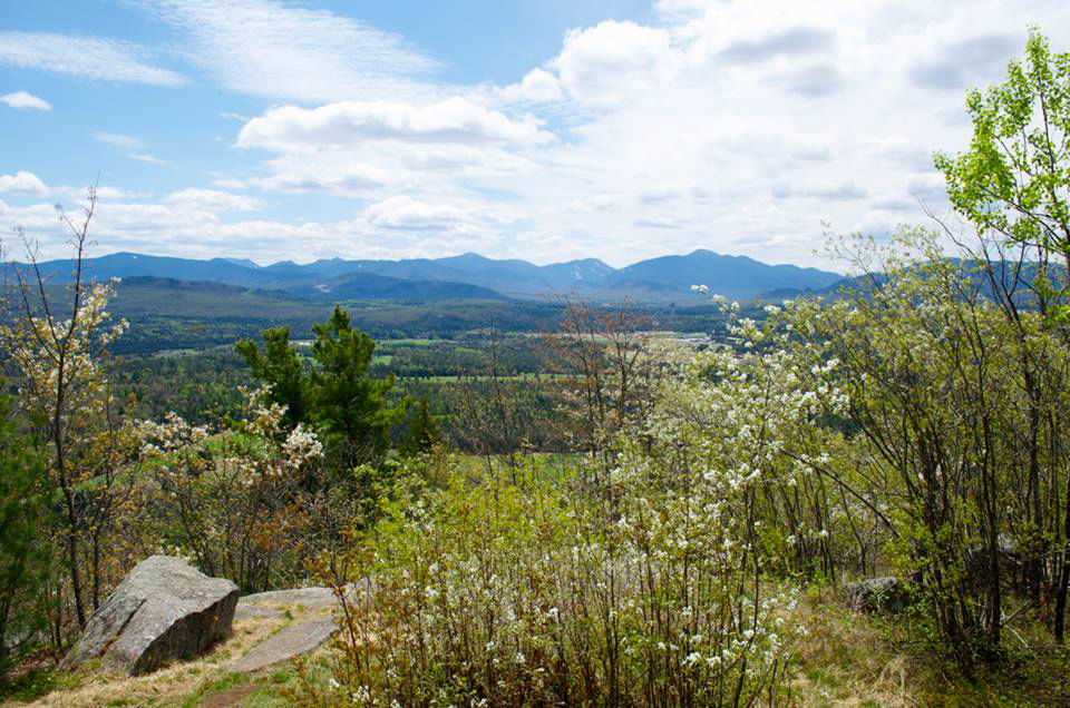 Adirondack Weekly Photo - 5 - 19 - 14