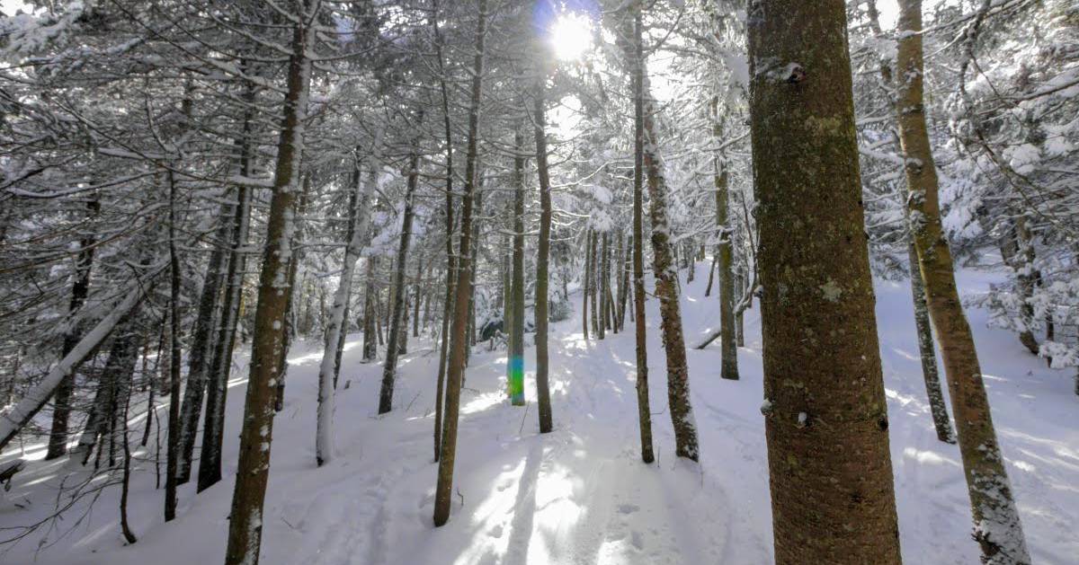 Try Glade Skiing In The Adirondacks Try Glade Skiing In The Adirondacks