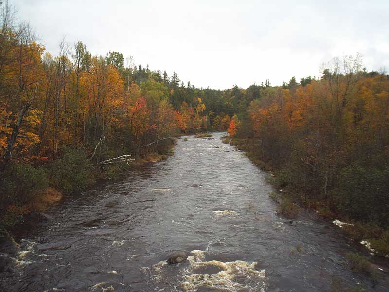 Fall foliage on the Saranac River near Schuyler Falls NY