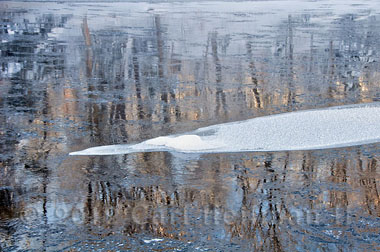 heilman_NA065869.jpg
