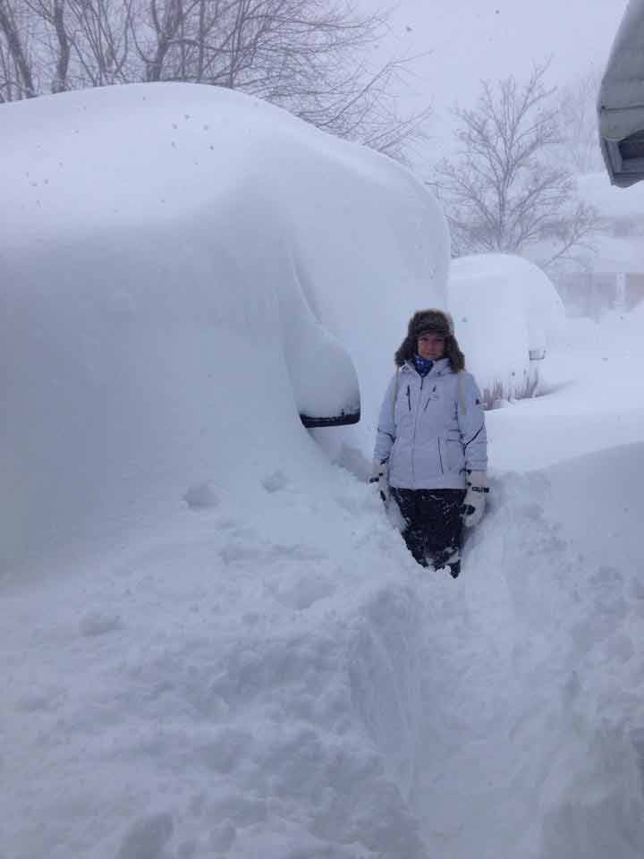 snow piled on cars