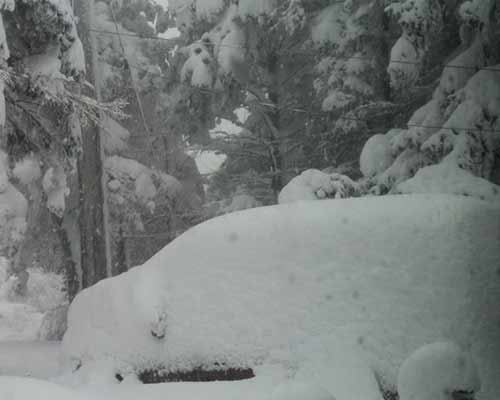 snow covering a car